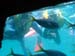 IMG_1319
