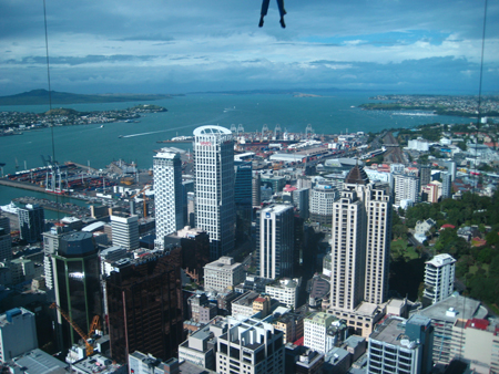 IMG_1980