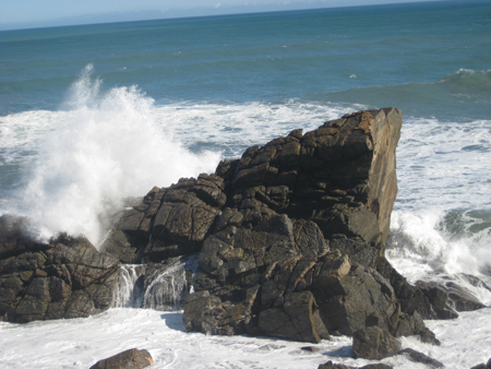 IMG_2711