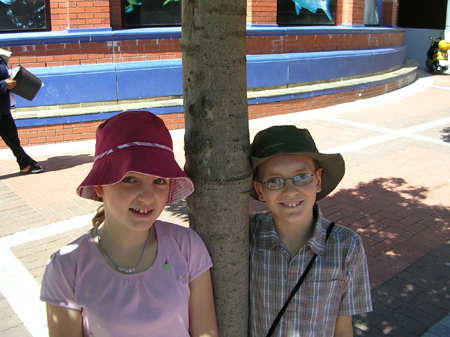 bartons south africa 011