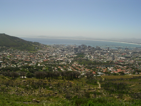 bartons south africa 018