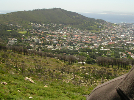 bartons south africa 020