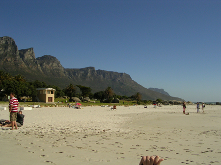 bartons south africa 034