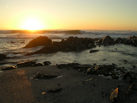 bartons south africa 040