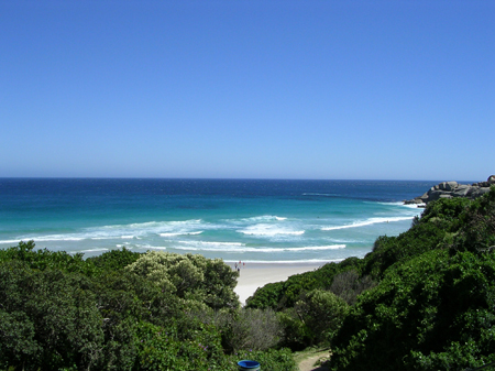bartons south africa 048