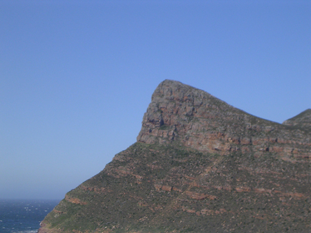 bartons south africa 068