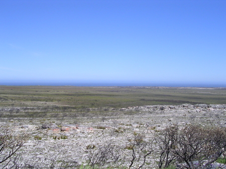 bartons south africa 069