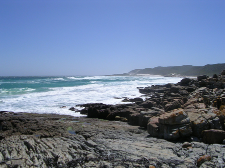 bartons south africa 085