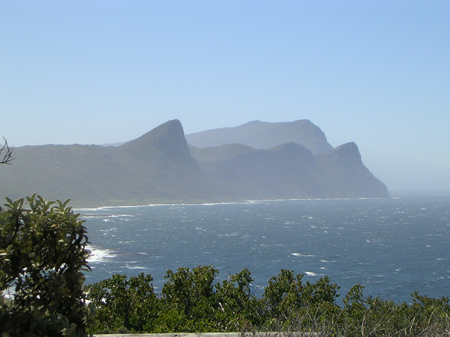 bartons south africa 088