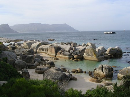 bartons south africa 102