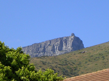 bartons south africa 109