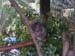 DSCN3246
