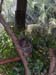 DSCN3248