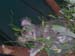 DSCN3269